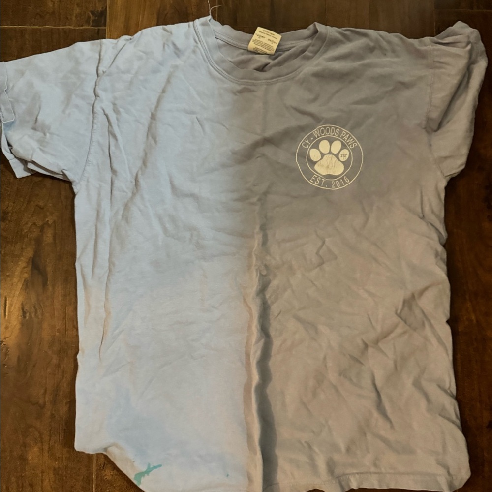 Light Blue Graphic T-Shirt